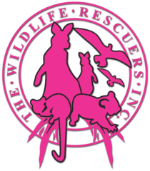 The Wildlife Rescuers